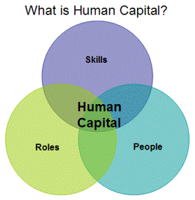 What is human capital